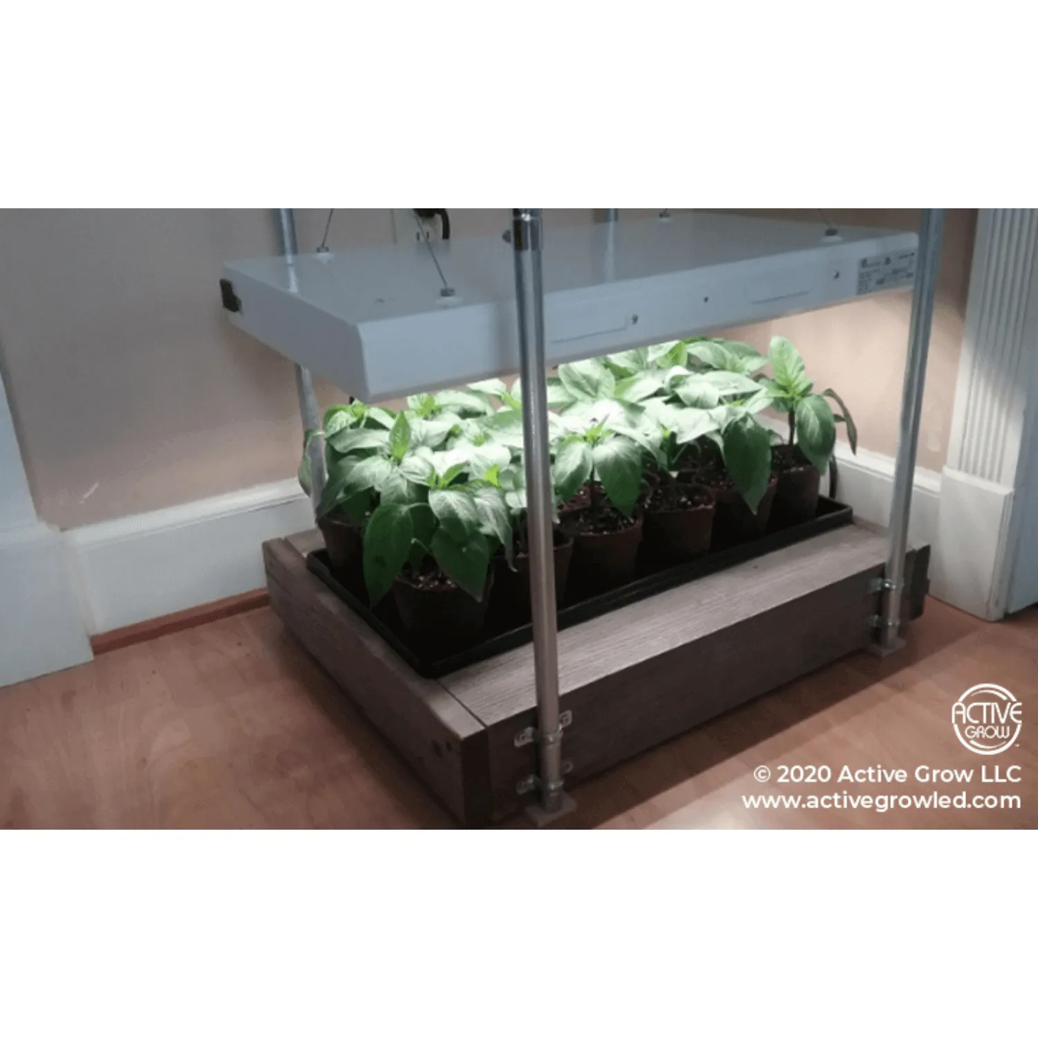 Active Grow T5 HO 2FT 4 Lamp Horticultural Fixture - Sun White Spectrum